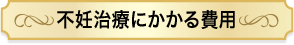 不妊治療にかかる費用