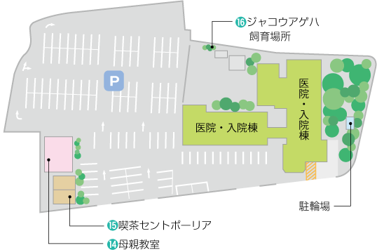 院内フロア図 1階